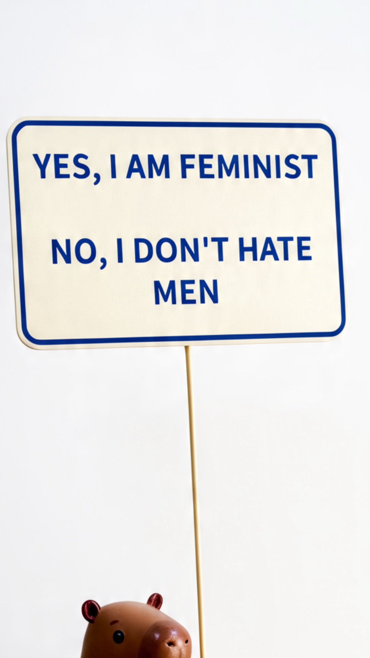 sign “feminist”